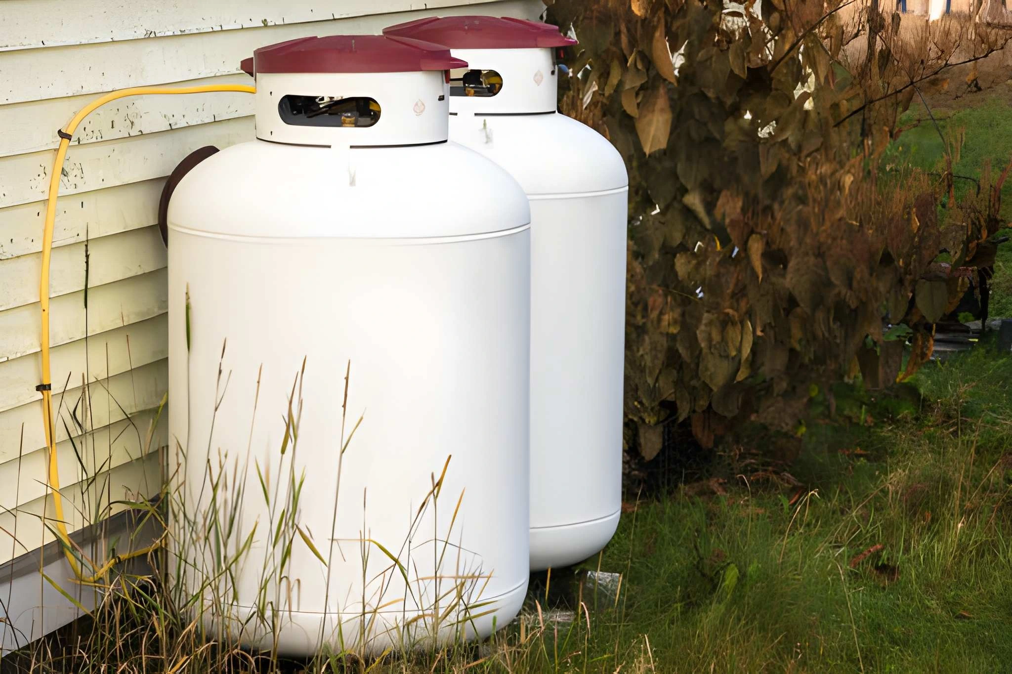 Water Tank Cleaning Services